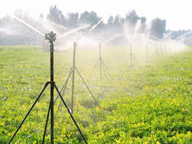 農田灌溉應用現場